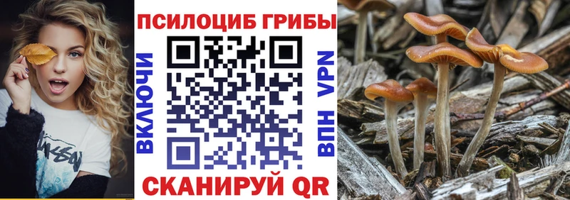 Псилоцибиновые грибы ЛСД Родники