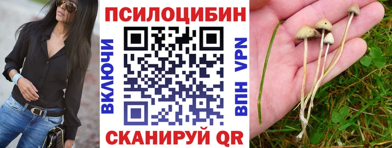 Псилоцибиновые грибы Cubensis  Родники 