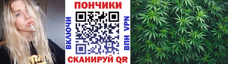 где купить наркотик  OMG сайт  Бошки Шишки OG Kush  shop Telegram  Родники 